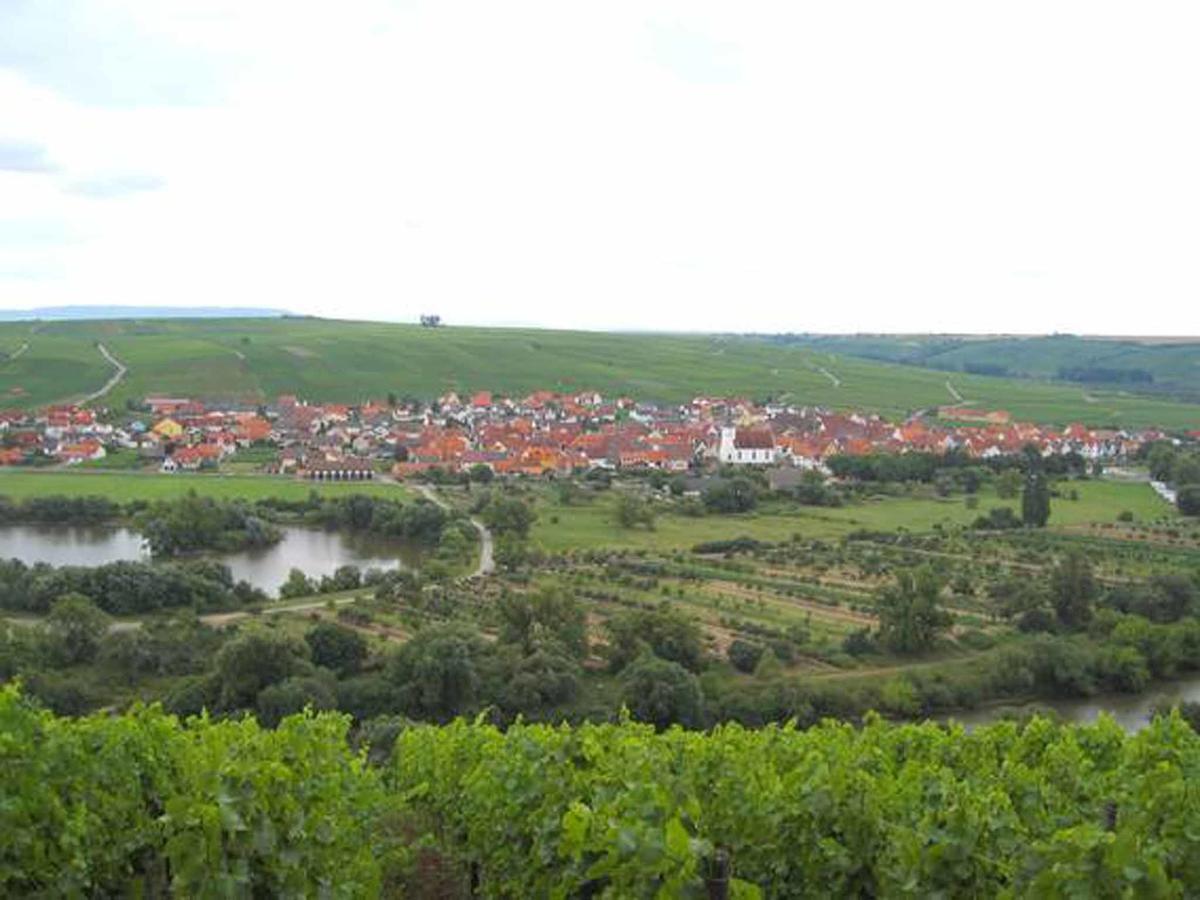شقة Ferien- Und Winzerhof Ute Braun نوردهيم المظهر الخارجي الصورة